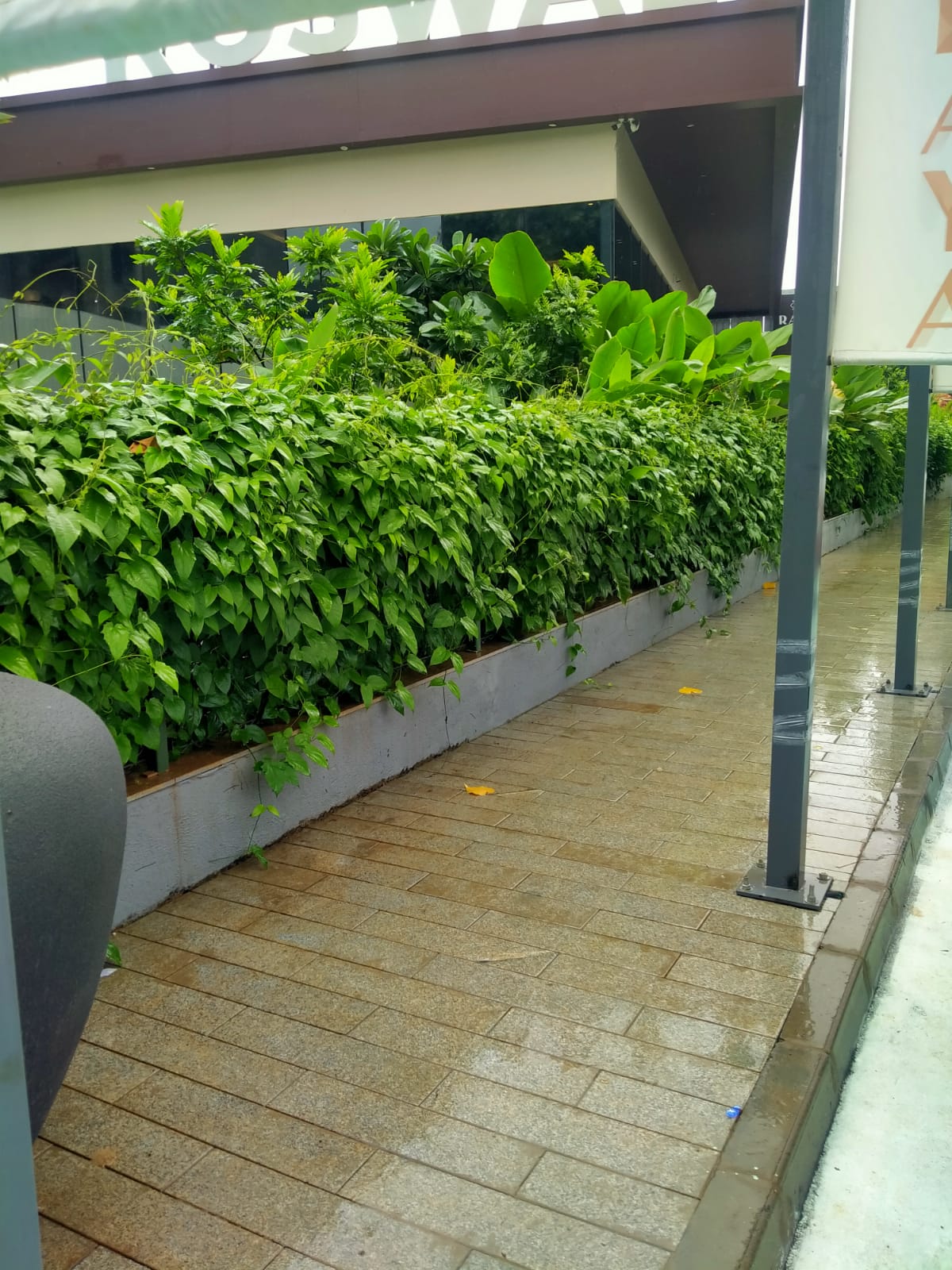 Premium landscape and garden development at Roswalt Raya residential project